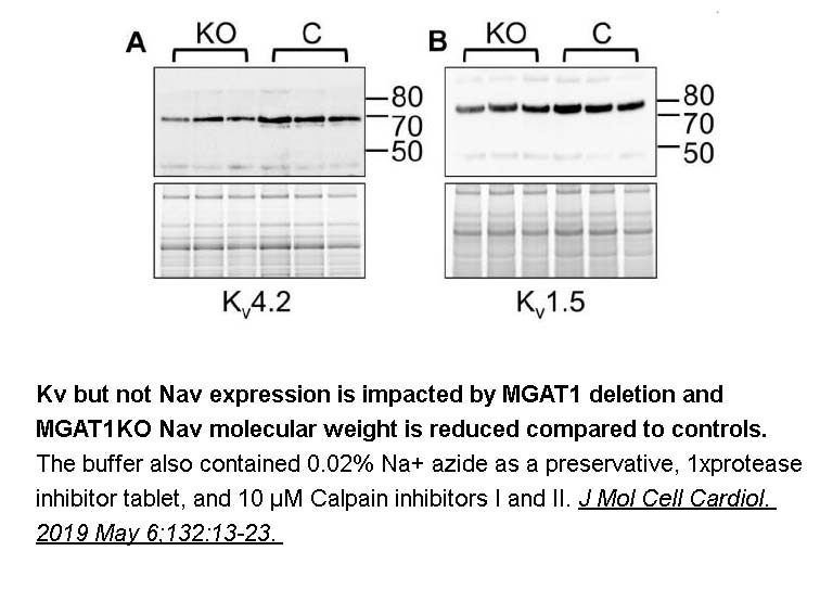 Calpain Inhibitor II, ALLM