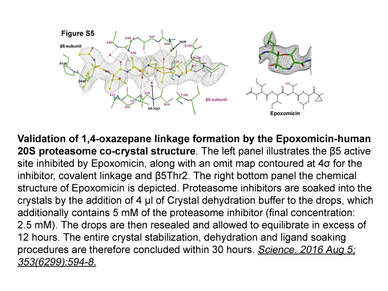 Epoxomicin Epoxomicin