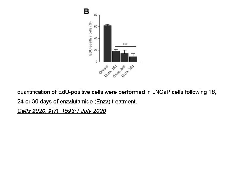 MDV3100 (Enzalutamide) MDV3100 (Enzalutamide)