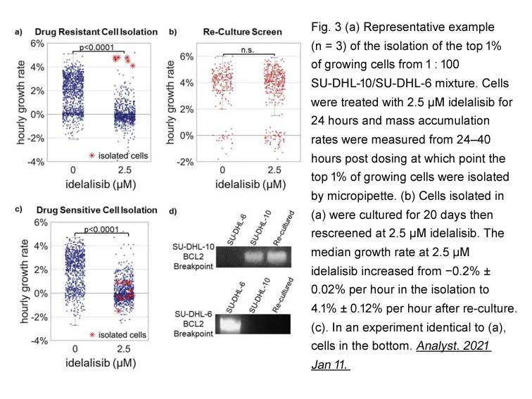 CAL-101 (Idelalisib, GS-1101) CAL-101 (Idelalisib, GS-1101)