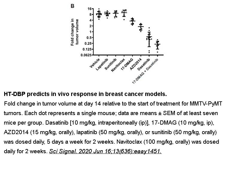 Dasatinib