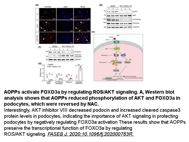 AKT inhibitor VIII