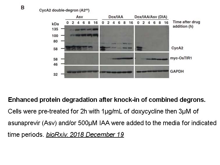 Asunaprevir (BMS-650032)