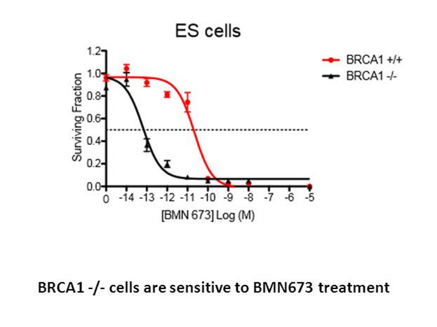 BMN-673 8R,9S