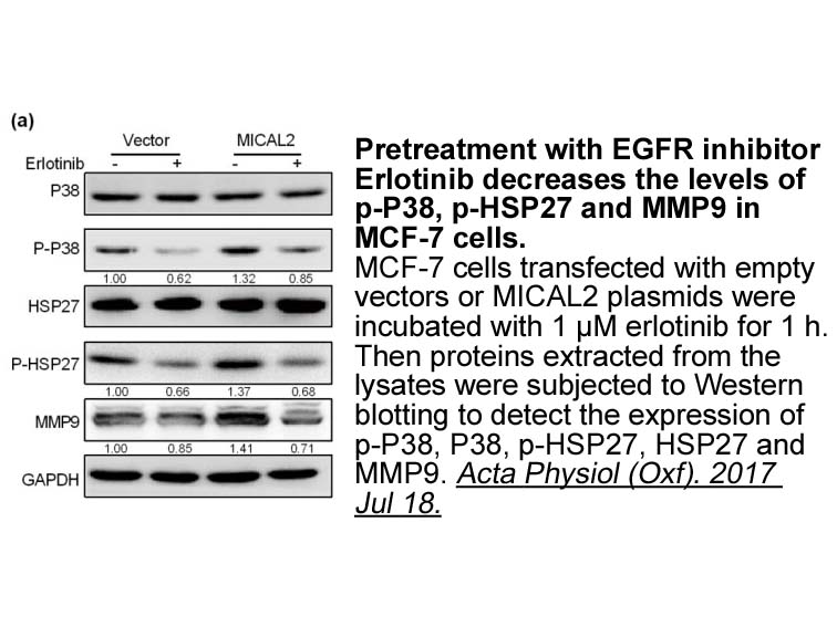 Erlotinib