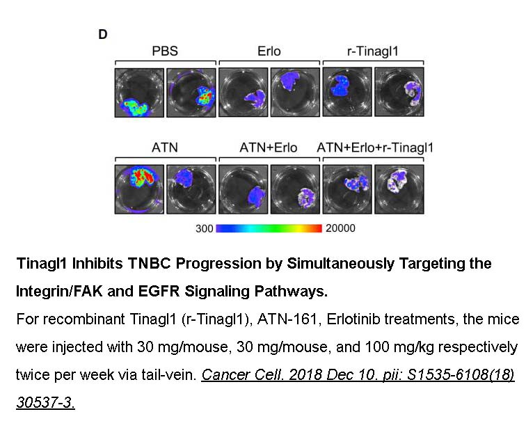 Erlotinib