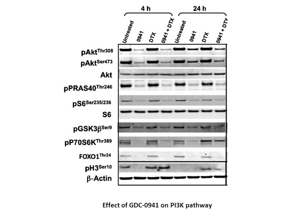 GDC-0941 dimethanesulfonate GDC-0941 dimethanesulfonate