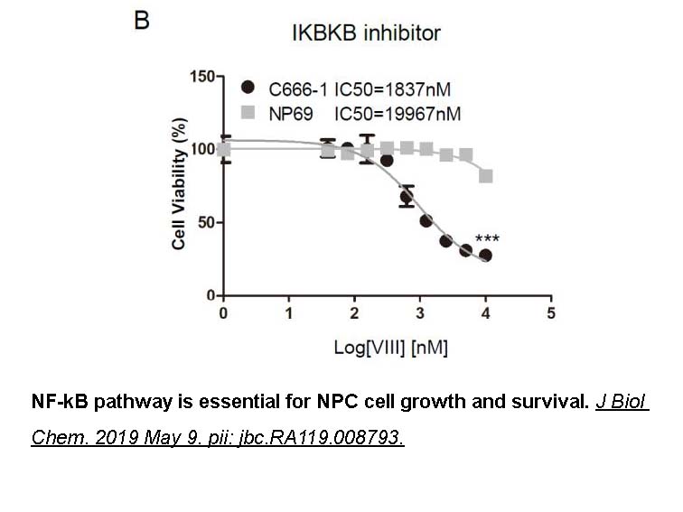 IKK-2 inhibitor VIII IKK-2 inhibitor VIII