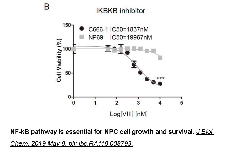 IKK-2 inhibitor VIII