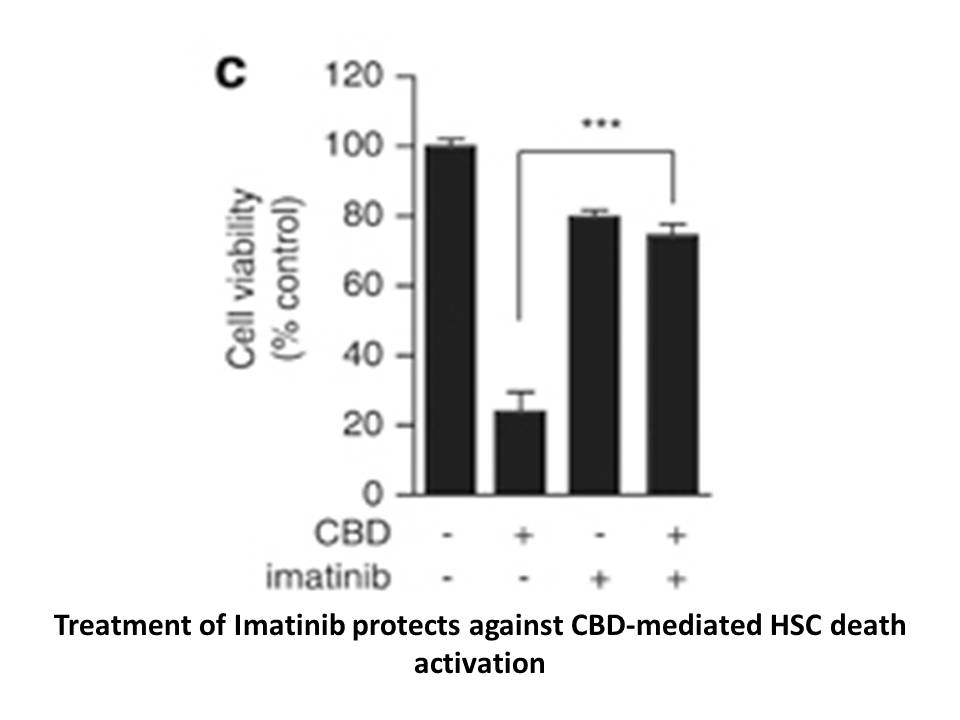 Imatinib hydrochloride Imatinib hydrochloride