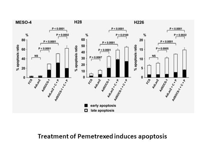 Pemetrexed disodium hemipenta hydrate