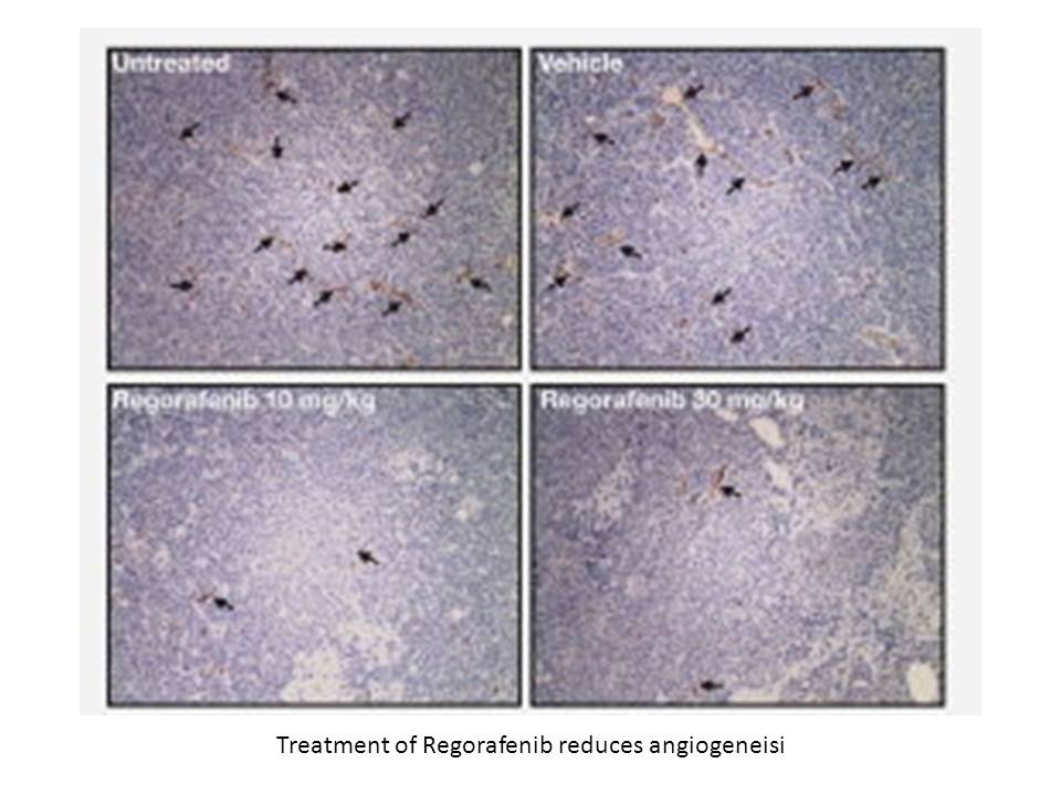 Regorafenib monohydrate Regorafenib monohydrate