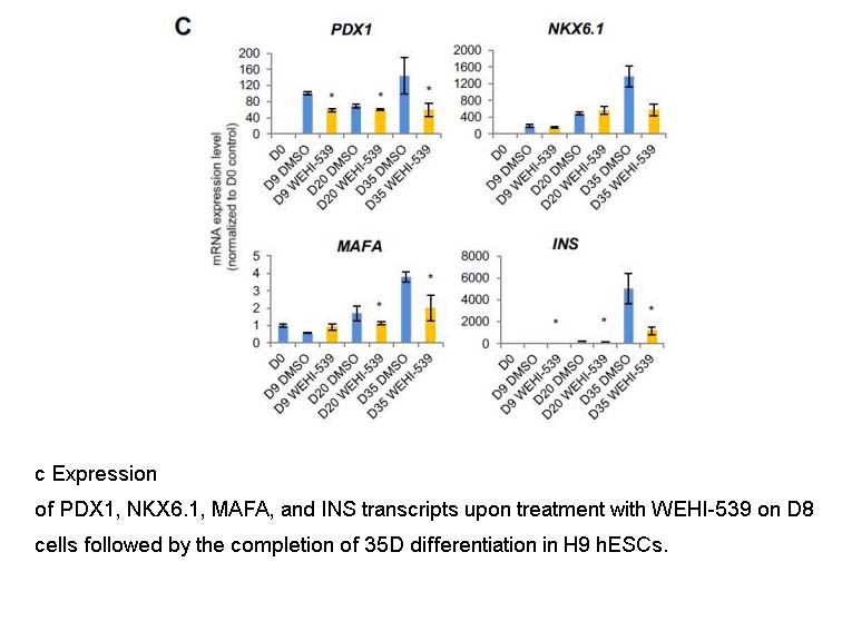 WEHI-539