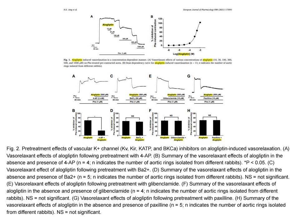 Alogliptin (SYR-322) Alogliptin (SYR-322)