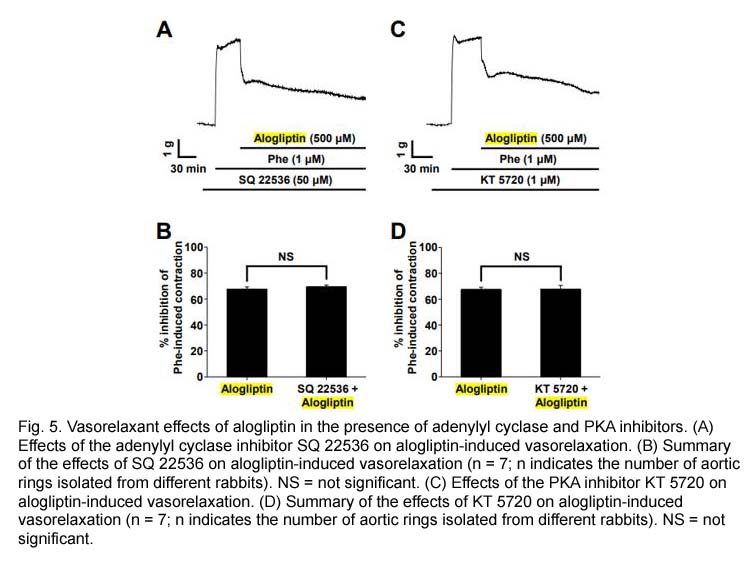 Alogliptin (SYR-322) Alogliptin (SYR-322)