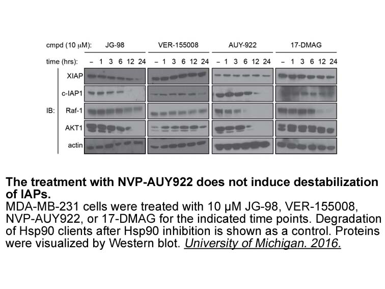 AUY922 (NVP-AUY922) AUY922 (NVP-AUY922)