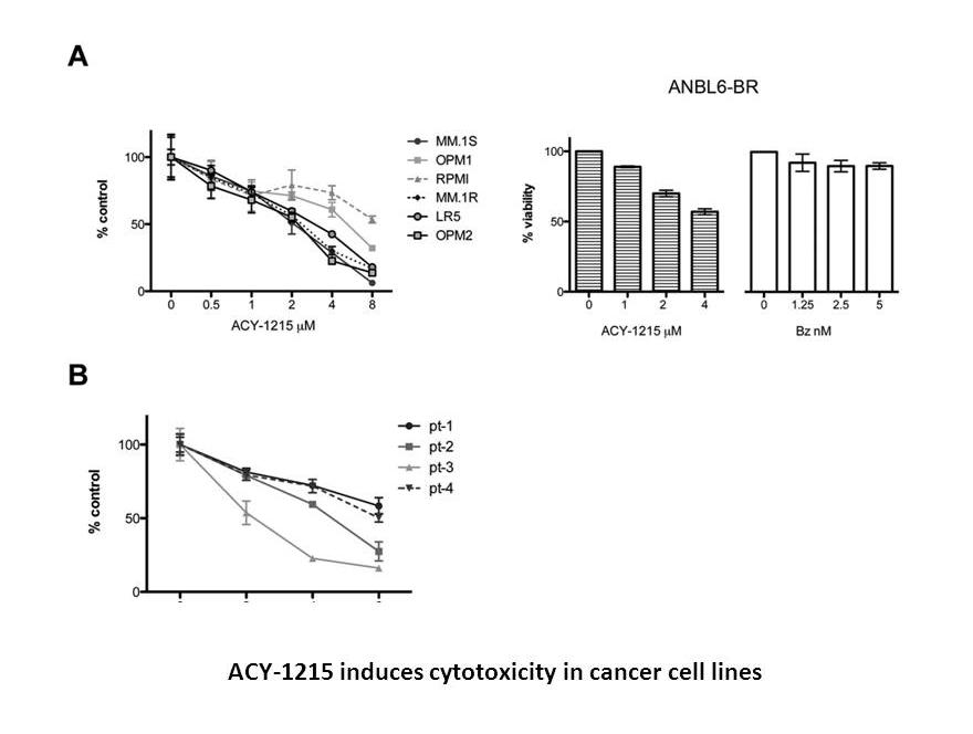 Rocilinostat (ACY-1215)