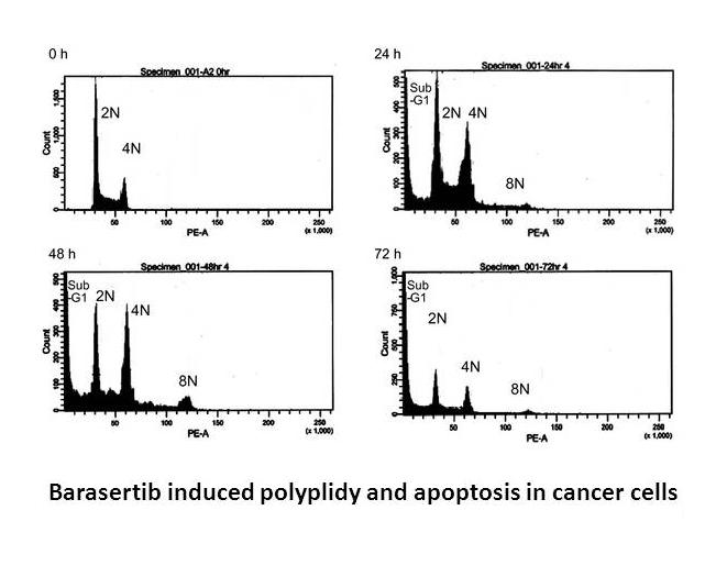 Barasertib (AZD1152-HQPA) Barasertib (AZD1152-HQPA)