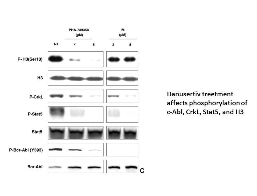 Danusertib (PHA-739358)