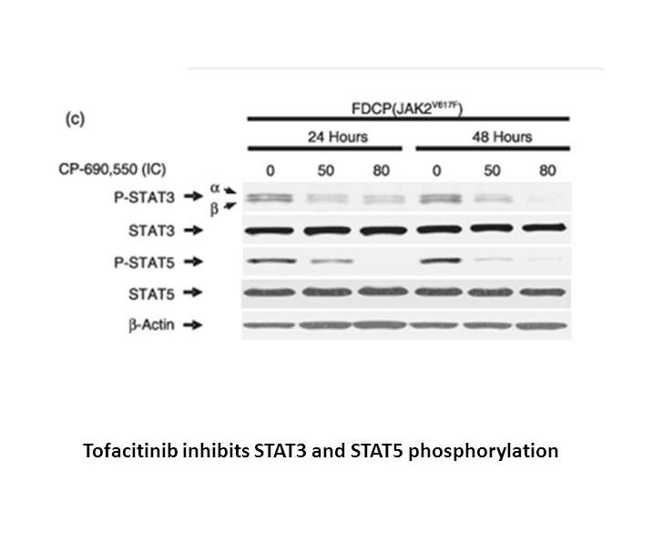 Tofacitinib (CP-690550) Citrate Tofacitinib (CP-690550) Citrate