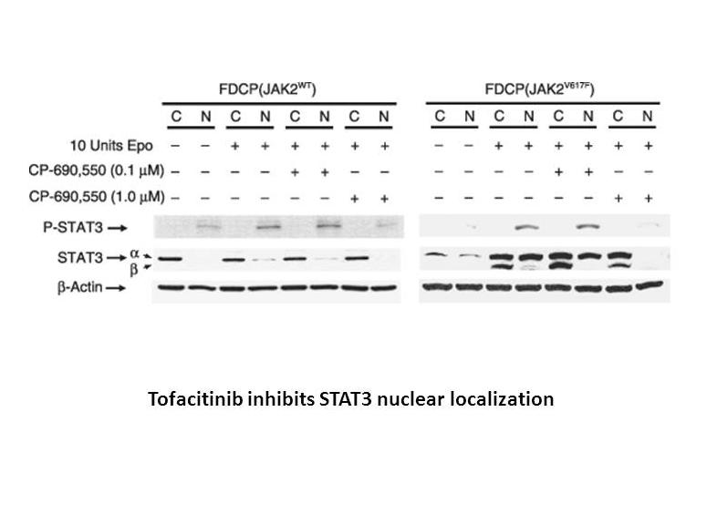 Tofacitinib (CP-690550) Citrate Tofacitinib (CP-690550) Citrate