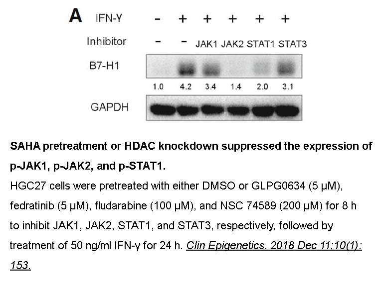 TG101348 (SAR302503)