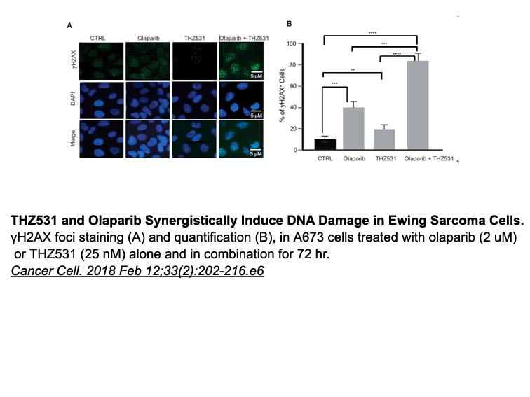 Olaparib (AZD2281, Ku-0059436) Olaparib (AZD2281, Ku-0059436)