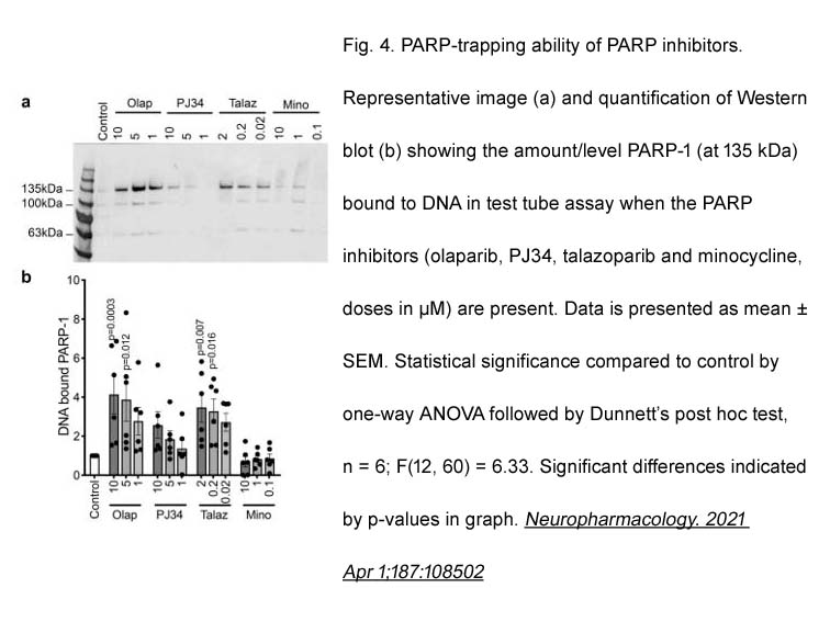 Olaparib (AZD2281, Ku-0059436) Olaparib (AZD2281, Ku-0059436)