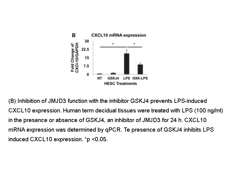 GSK J4 HCl