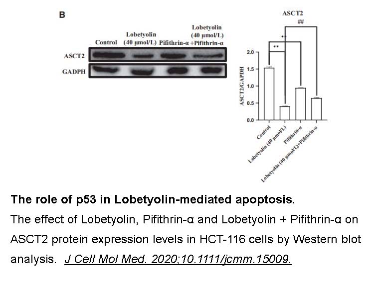 Pifithrin-α (PFTα) Pifithrin-α (PFTα)