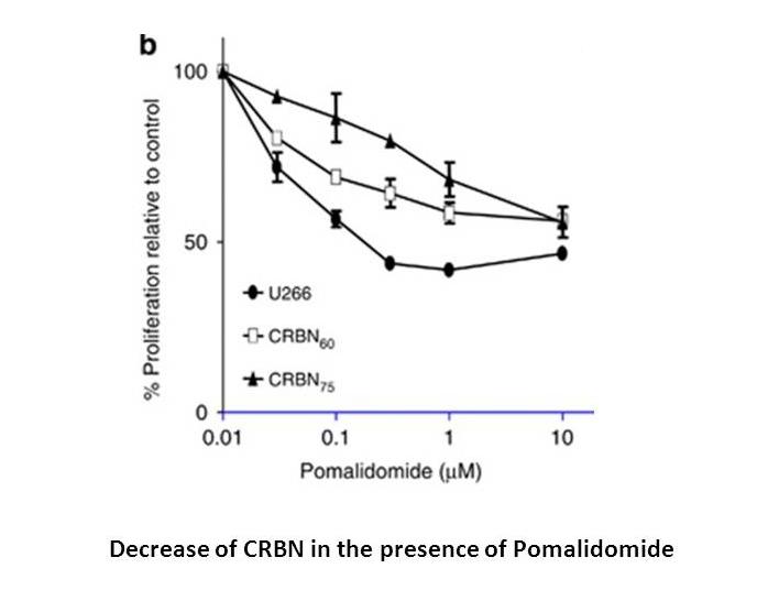 Pomalidomide (CC-4047) Pomalidomide (CC-4047)
