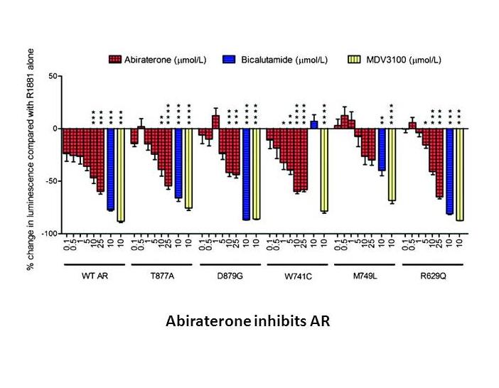 Abiraterone Abiraterone