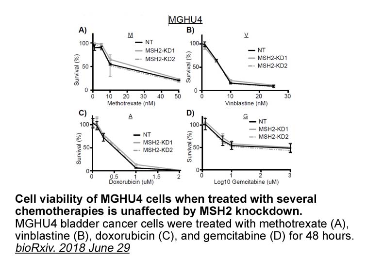 Methotrexate