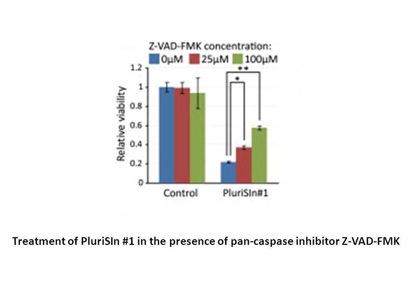 PluriSIn #1 (NSC 14613)