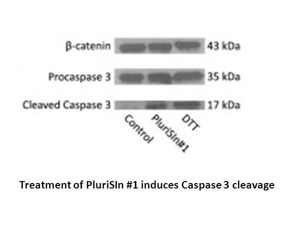 PluriSIn #1 (NSC 14613) PluriSIn #1 (NSC 14613)