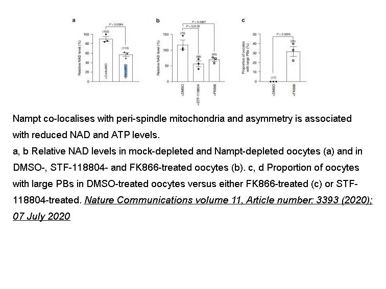 FK866 (APO866) FK866 (APO866)