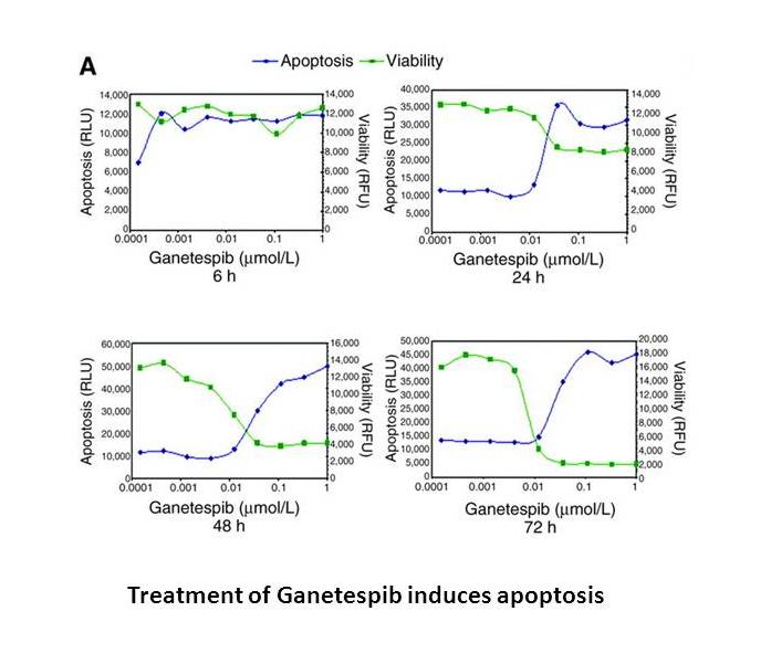 Ganetespib (STA-9090) Ganetespib (STA-9090)