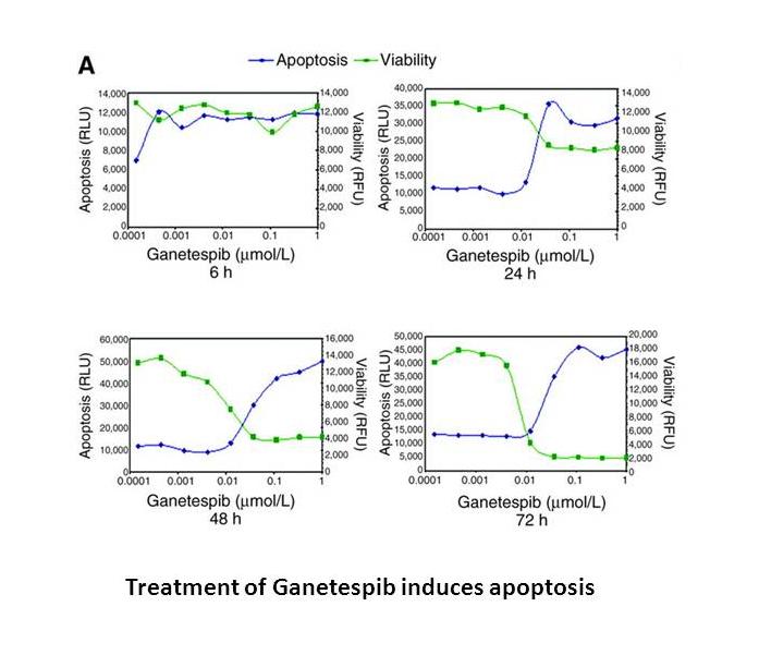 Ganetespib (STA-9090)