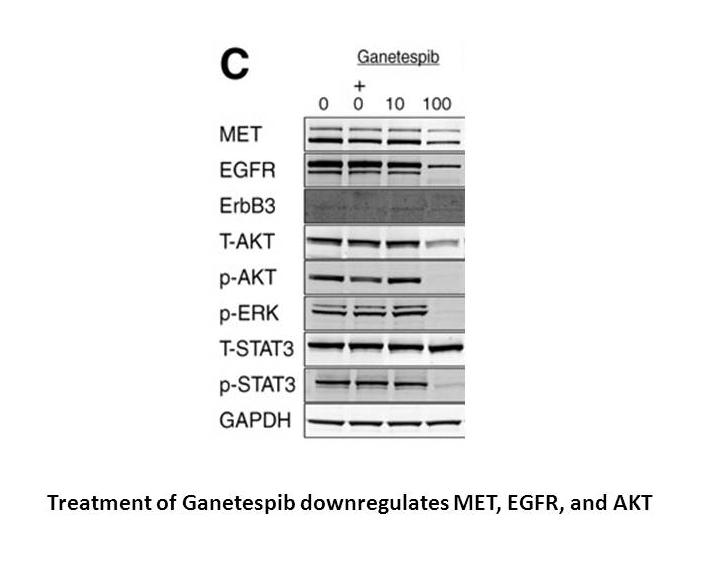 Ganetespib (STA-9090) Ganetespib (STA-9090)