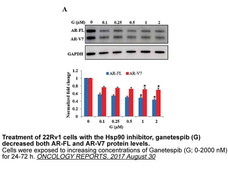 Ganetespib (STA-9090) Ganetespib (STA-9090)