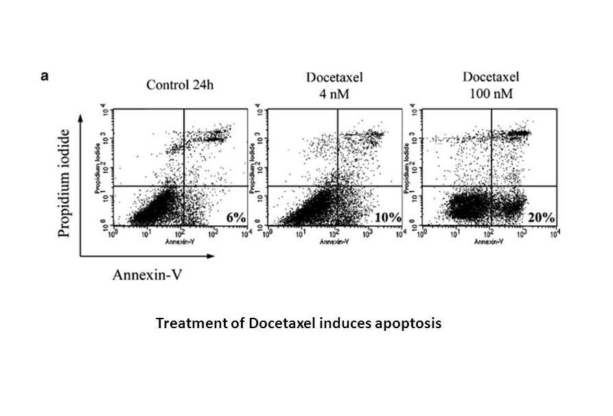 Docetaxel