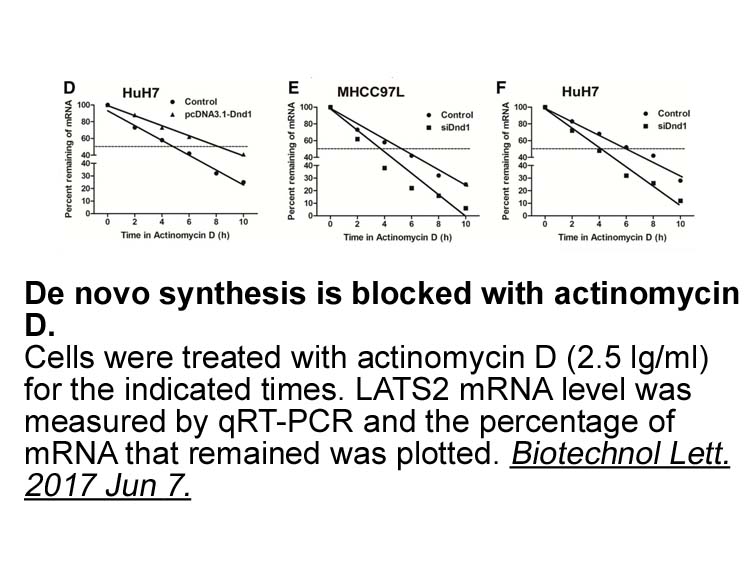 Actinomycin D Actinomycin D