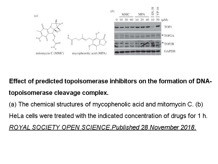 Mitomycin C Mitomycin C