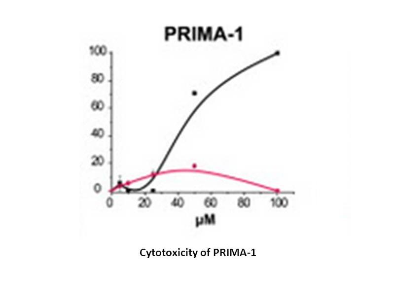 PRIMA-1 PRIMA-1