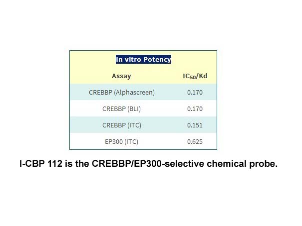 I-CBP 112 I-CBP 112