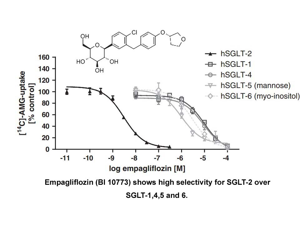 Empagliflozin (BI 10773) Empagliflozin (BI 10773)