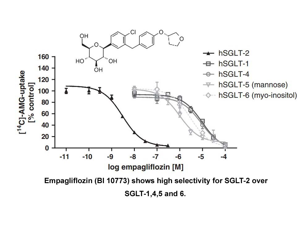 Empagliflozin (BI 10773)