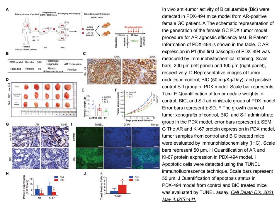 Bicalutamide Bicalutamide