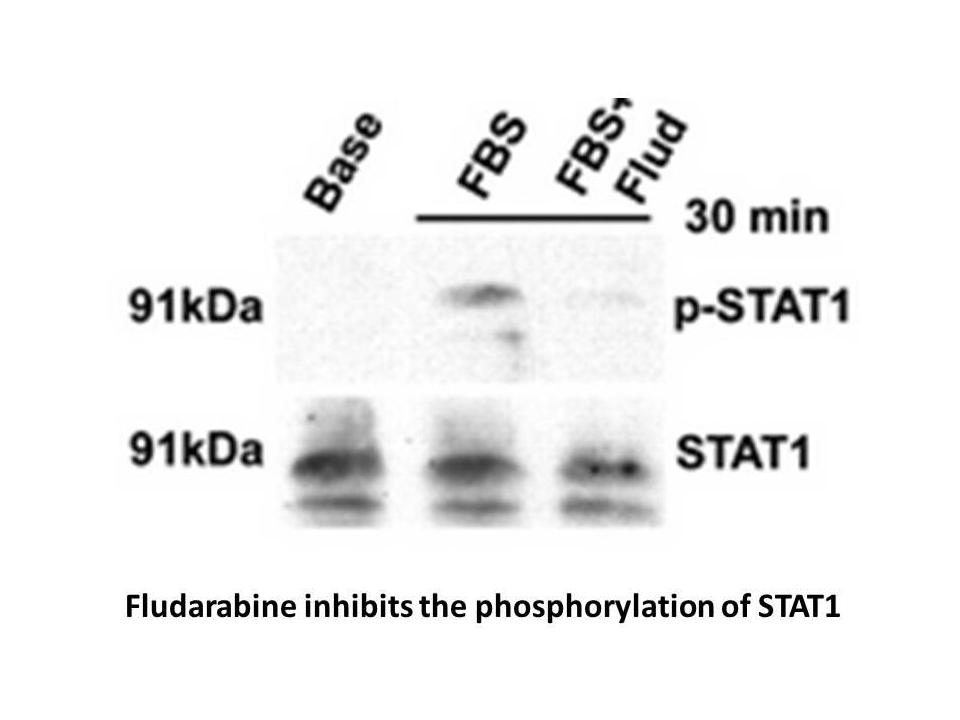 Fludarabine