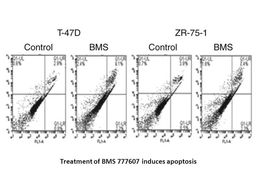 BMS-777607 BMS-777607